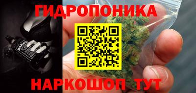 прущие крисы Кунгур