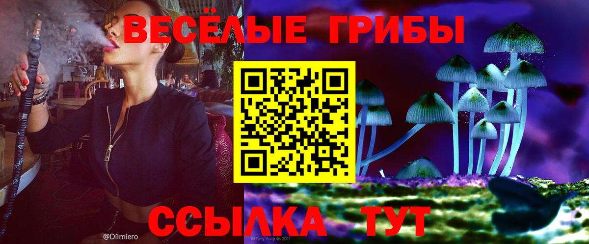 что такое   Вход с VPN  Чапаевск  Псилоцибиновые грибы MAGIC MUSHROOMS 