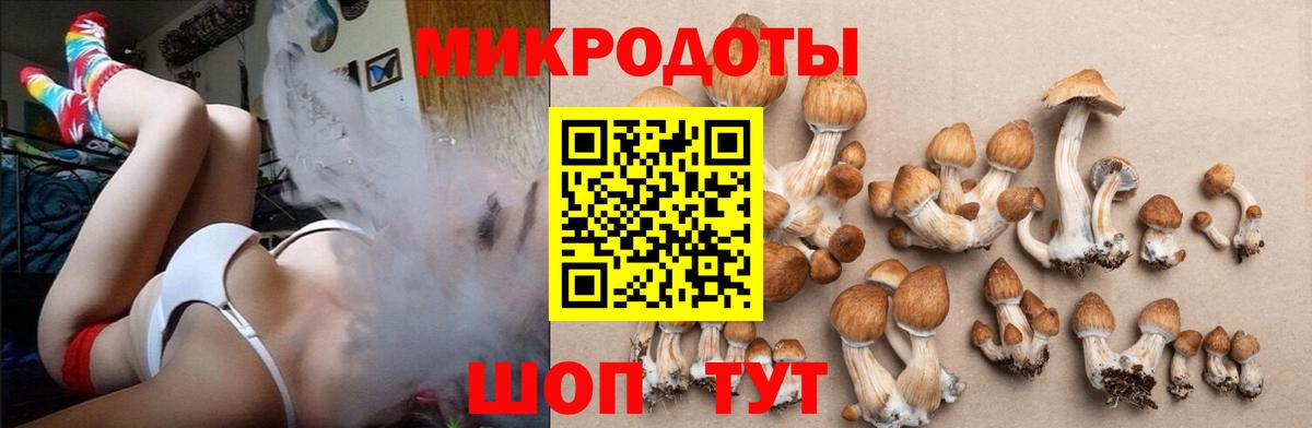 Галлюциногенные грибы GOLDEN TEACHER Чапаевск